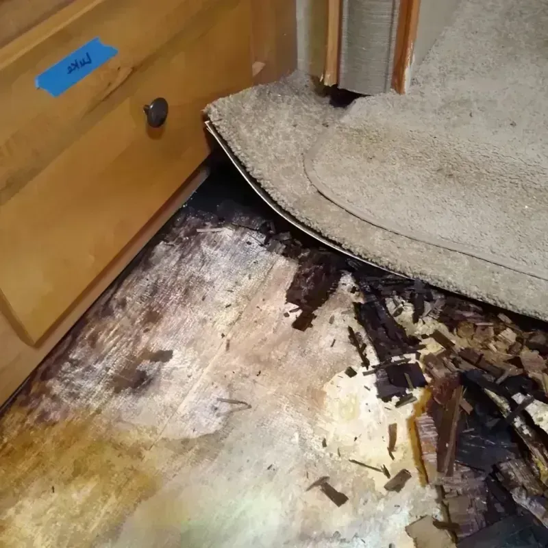 Best Wood Floor Water Damage Service in Dillon County, SC